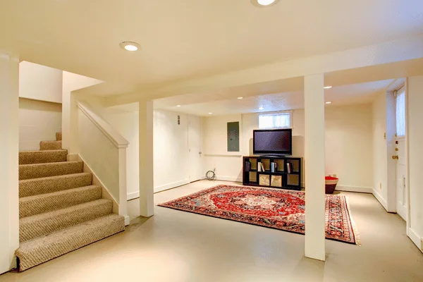 Basement Remodeling Ideas - Teachout Builders